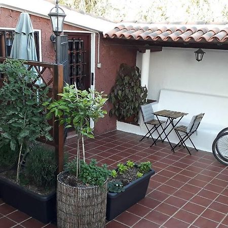 Apartamento Tranquilo En Una Casa Con Jardin ลาลากูนา ภายนอก รูปภาพ