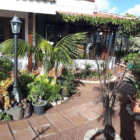 Apartamento Tranquilo En Una Casa Con Jardin ลาลากูนา ภายนอก รูปภาพ