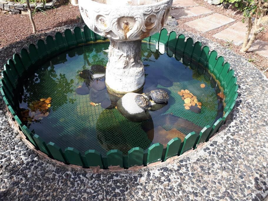 Apartamento Tranquilo En Una Casa Con Jardin ลาลากูนา ภายนอก รูปภาพ