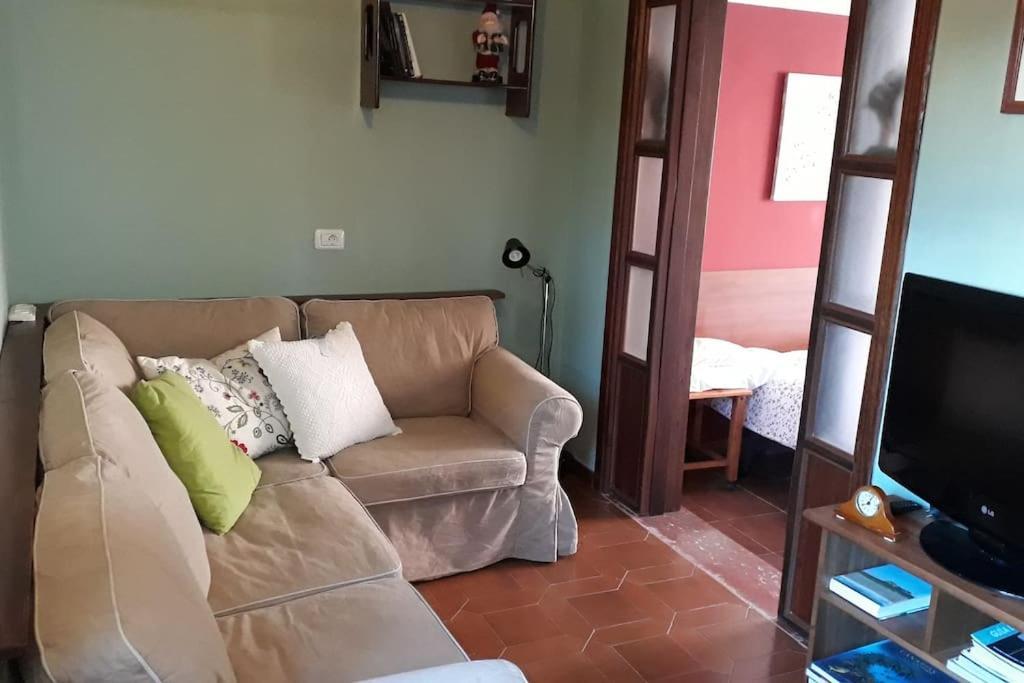 Apartamento Tranquilo En Una Casa Con Jardin ลาลากูนา ภายนอก รูปภาพ