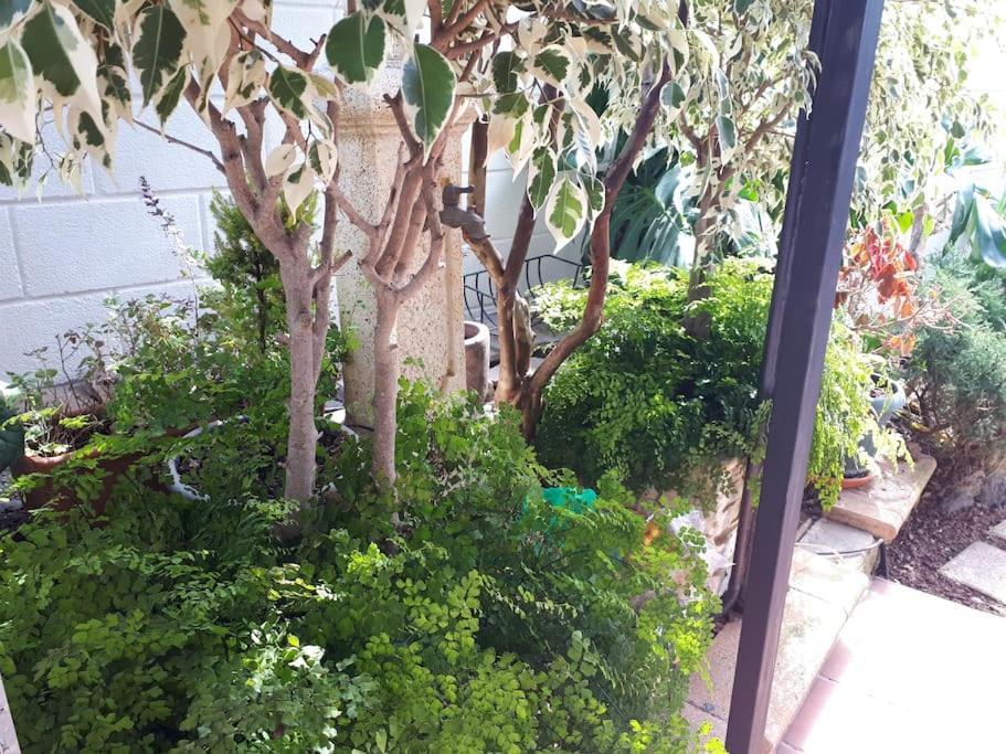 Apartamento Tranquilo En Una Casa Con Jardin ลาลากูนา ภายนอก รูปภาพ