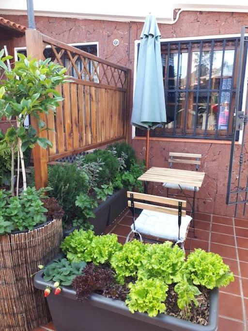 Apartamento Tranquilo En Una Casa Con Jardin ลาลากูนา ภายนอก รูปภาพ